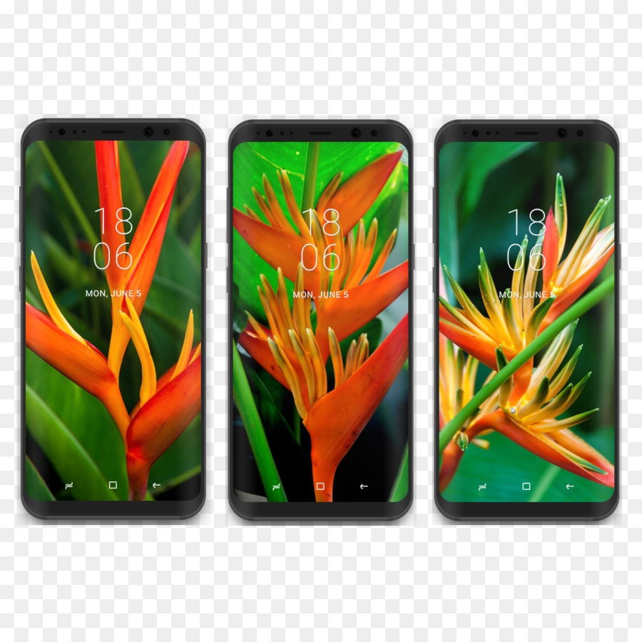 Samsung Galaxy S8，سامسونج PNG