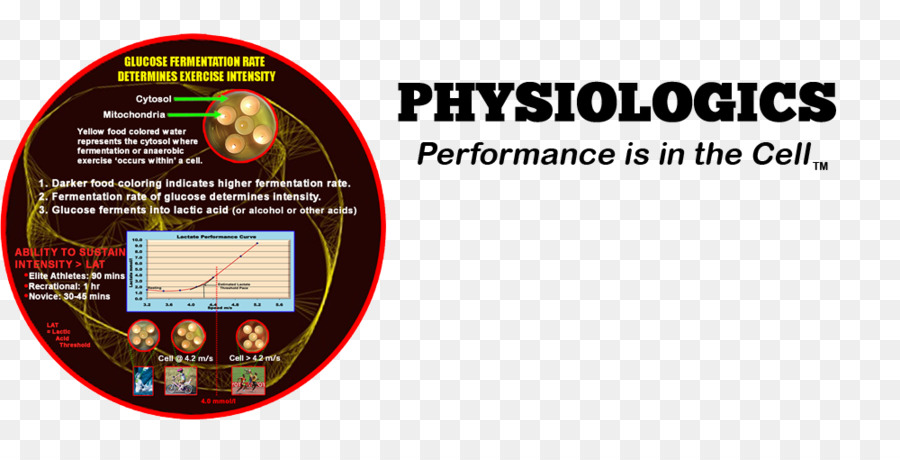 Physiologics，الصحة PNG