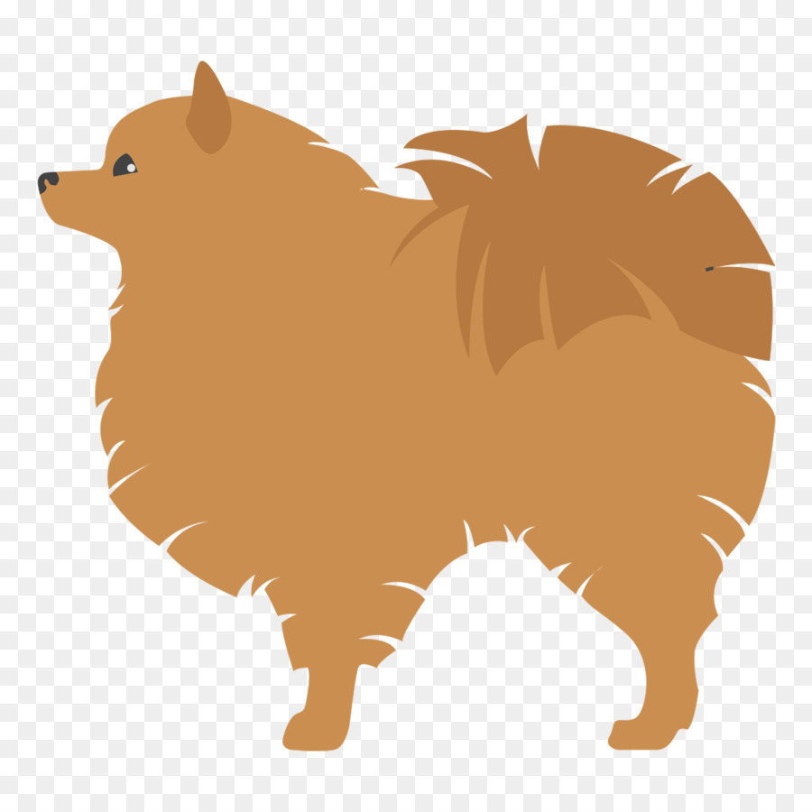 الألمانية سبيتز كلاين，كلب صغير طويل الشعر PNG