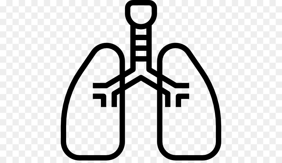 التنفس，الرئة PNG