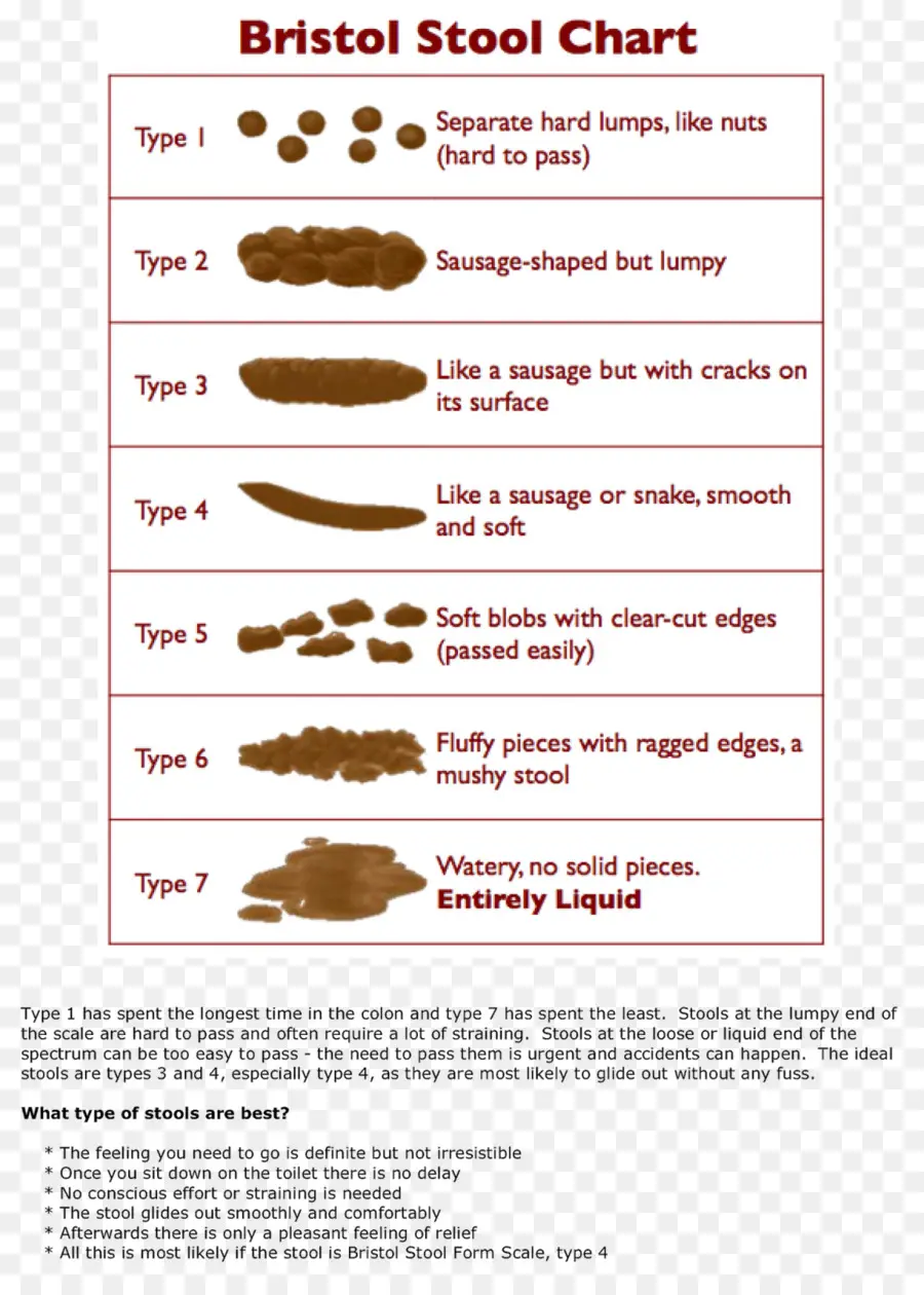 مخطط بريستول للبراز，أنواع البراز PNG