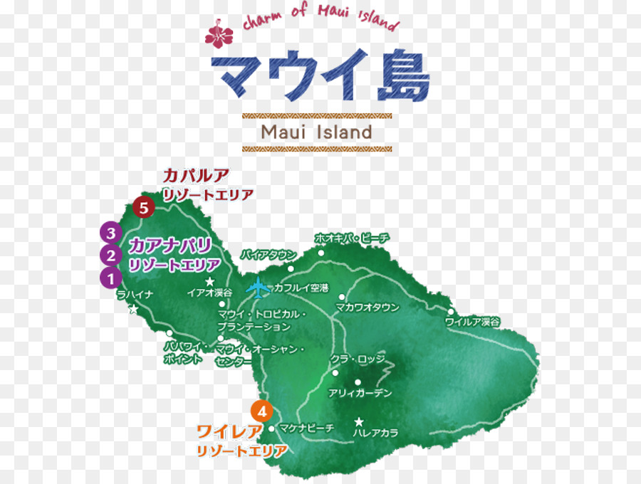 شجرة，خريطة PNG