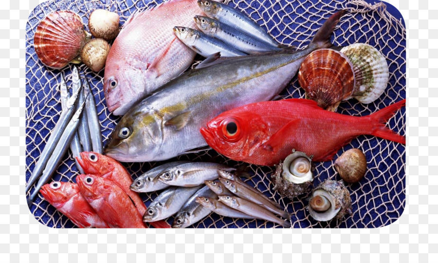 الأسماك，المأكولات البحرية PNG