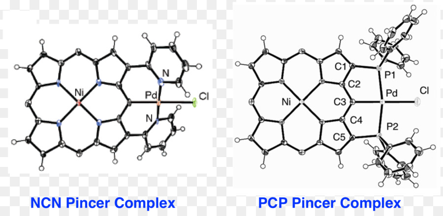 السيارة，خط PNG