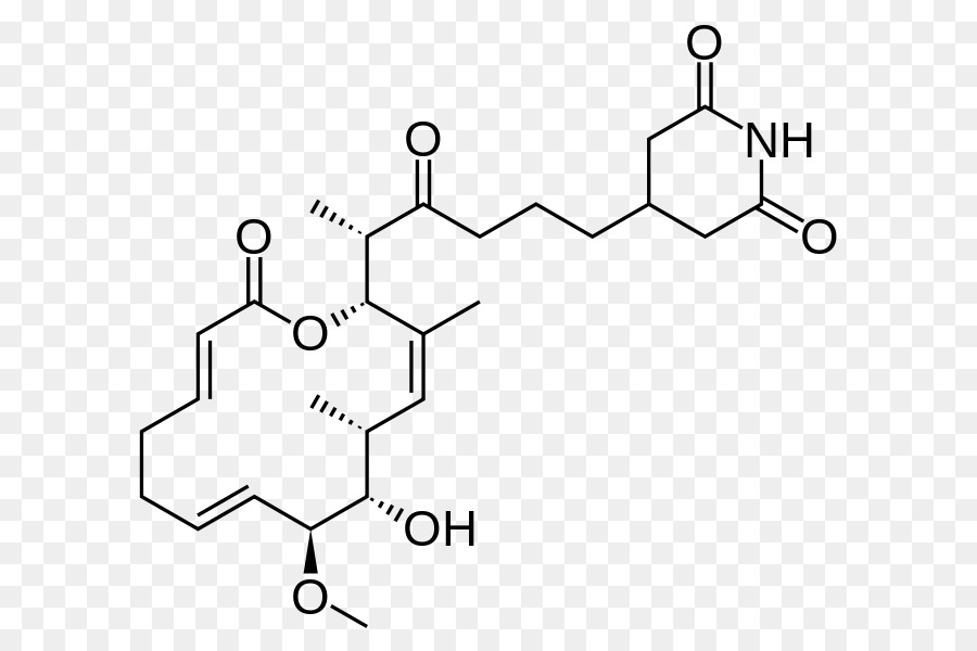 Migrastatin，السبحية الفطور PNG