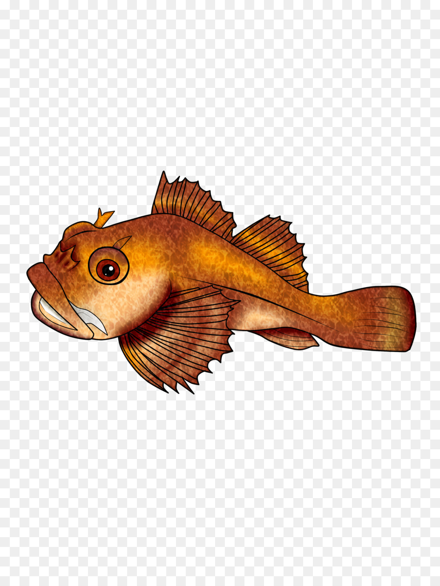 مادة الاحياء，سمكة PNG