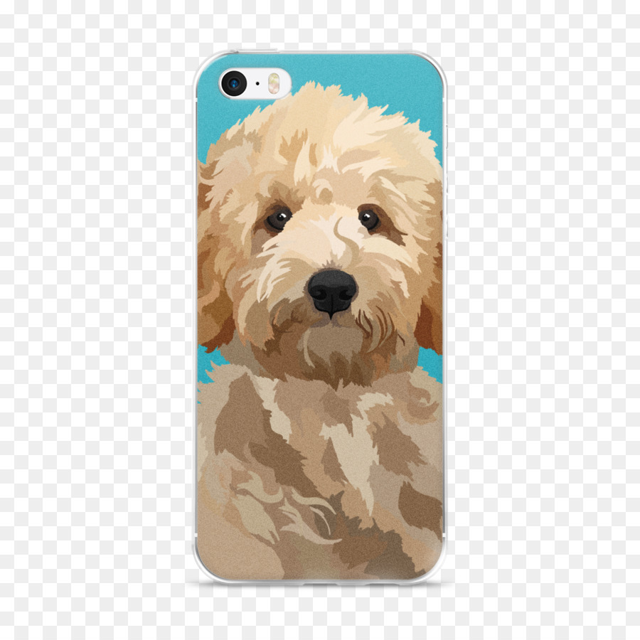 Goldendoodle，Iphone 6s Plus PNG