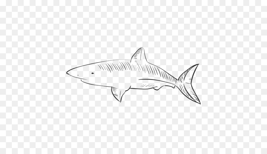نمر القرش，أسماك القرش Squaliform PNG