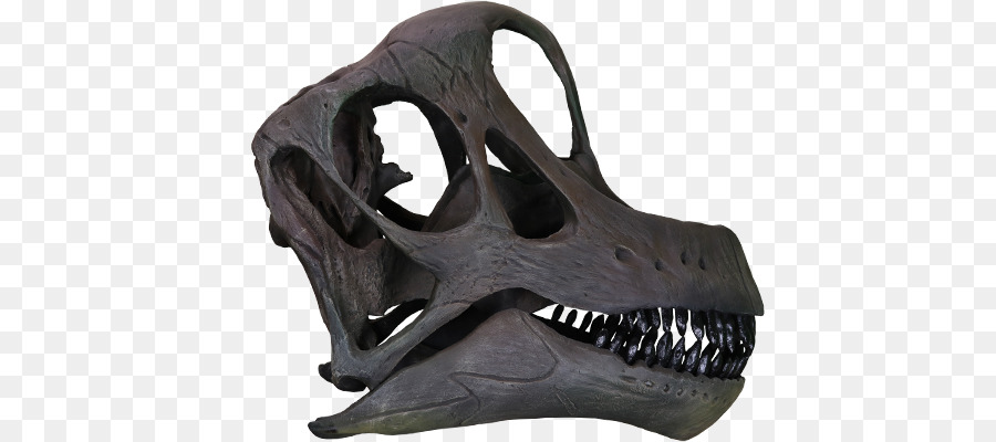 Brachiosaurus，Giraffatitan PNG