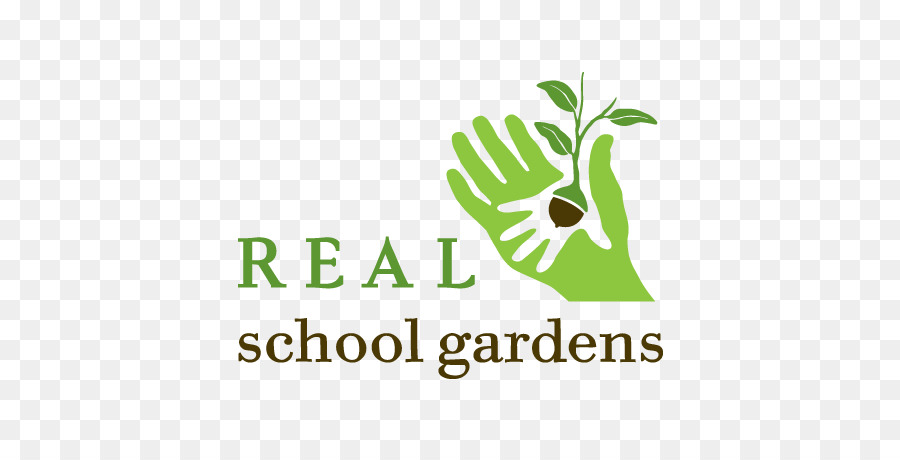 المدرسة الحقيقية الحدائق，المدرسة PNG