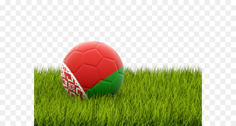 ألبانيا الوطني لكرة القدم，كأس الخليج العربي PNG