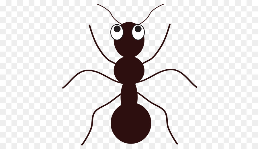 النمل，تحميل PNG