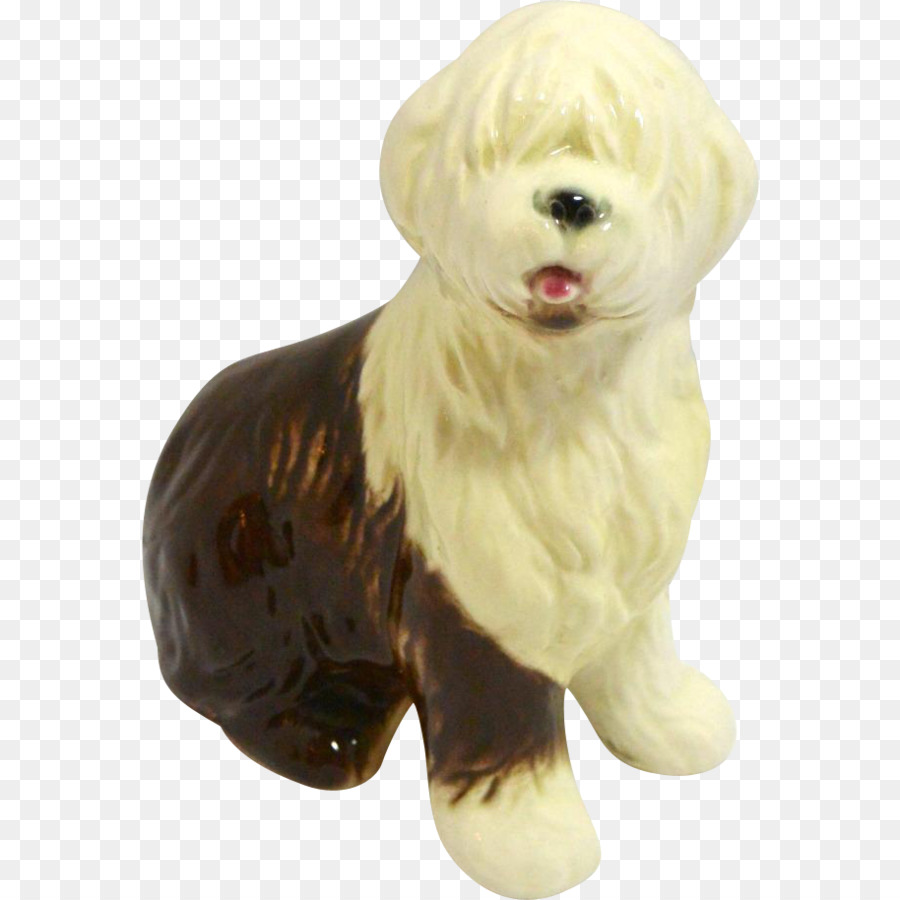 الكلب المالطي，الكلب Havanese PNG