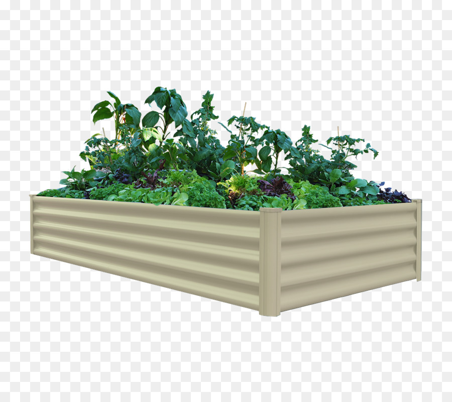 الأغذية العضوية，Raisedbed البستنة PNG