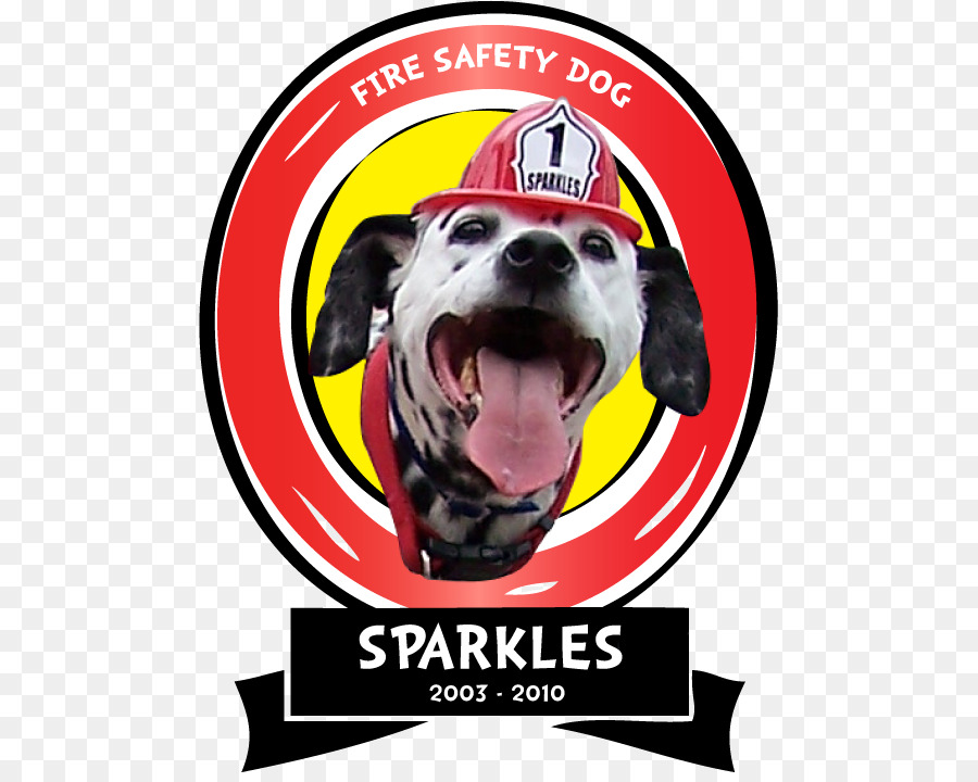 الكلب تولد，السلامة من الحرائق PNG