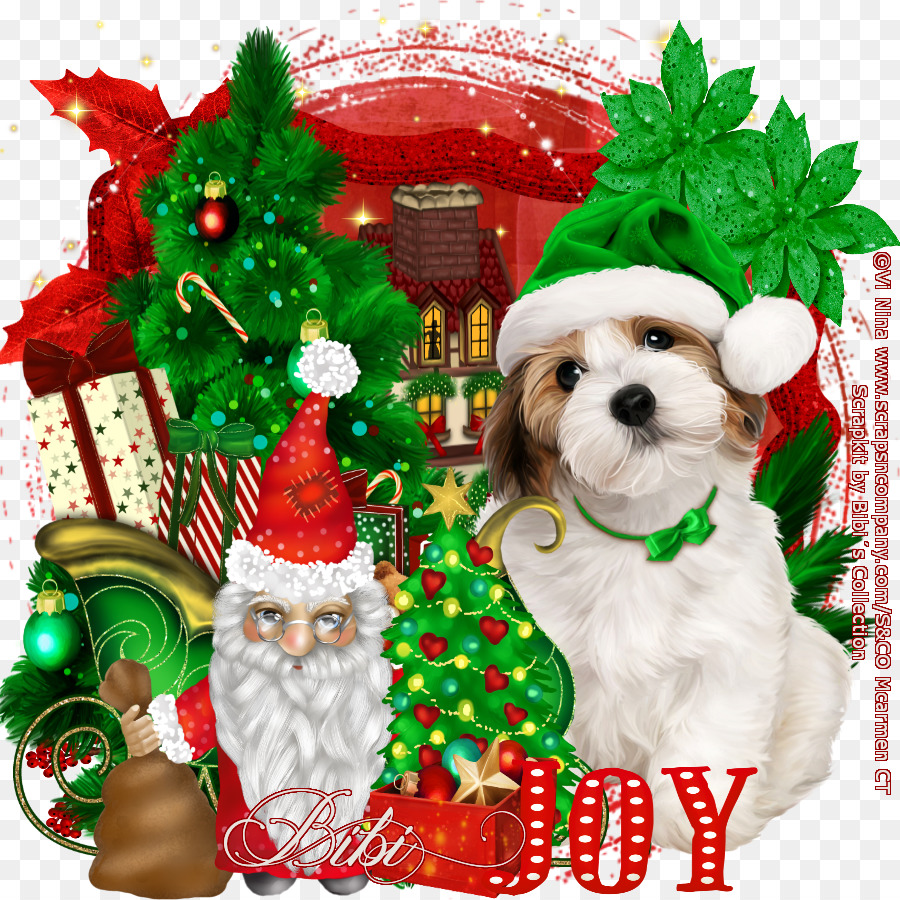 الكلب تولد，زخرفة عيد الميلاد ، PNG