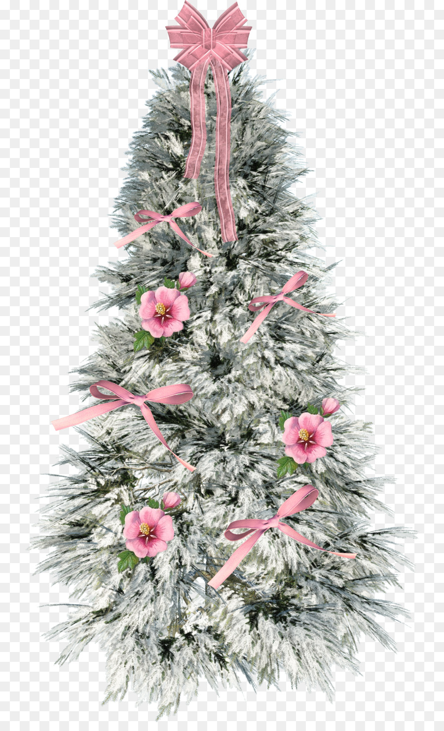شجرة عيد الميلاد，شجرة التنوب PNG
