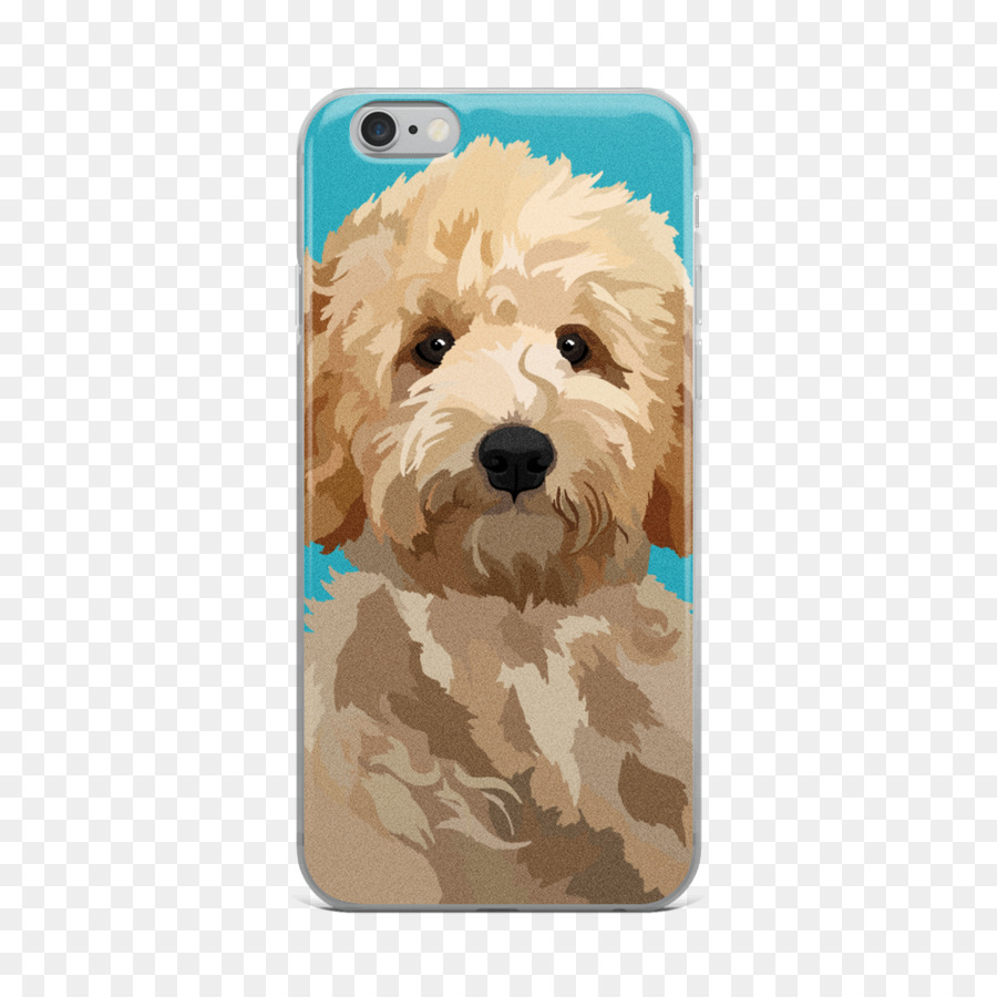 Goldendoodle，الكلب تولد PNG