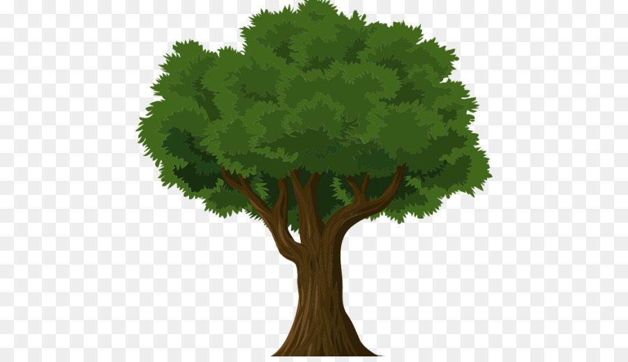 شجرة，التعلم PNG