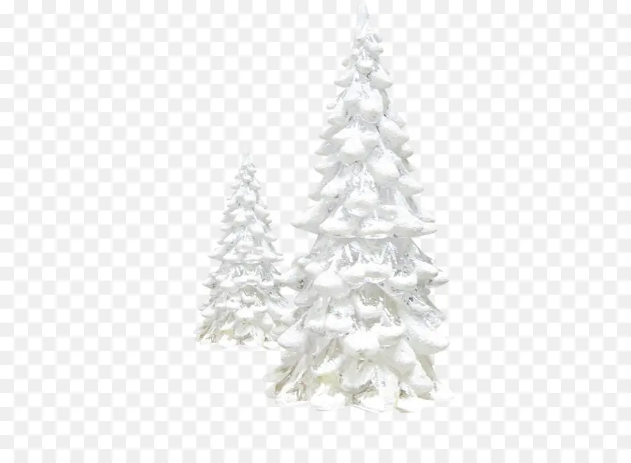 الصنوبر，شجرة عيد الميلاد PNG