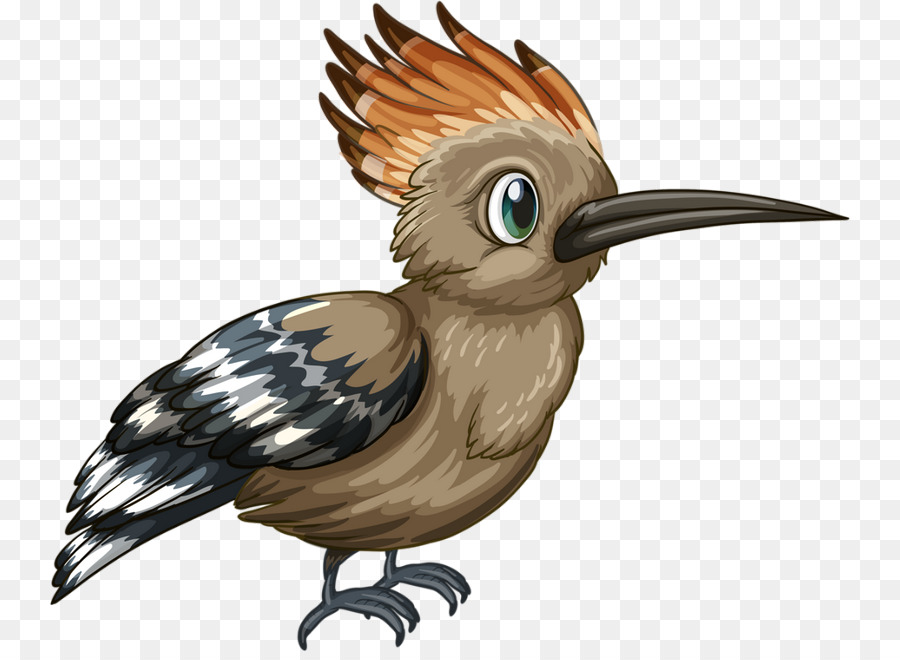 رسم，طائر PNG