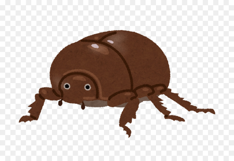 خنفساء الروث，Scarabs PNG