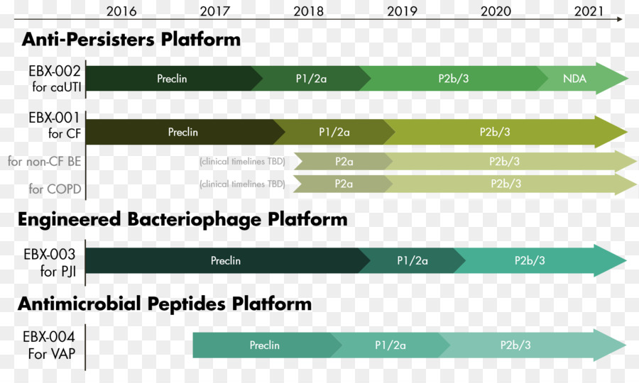 العدوى，Enbiotix Inc PNG