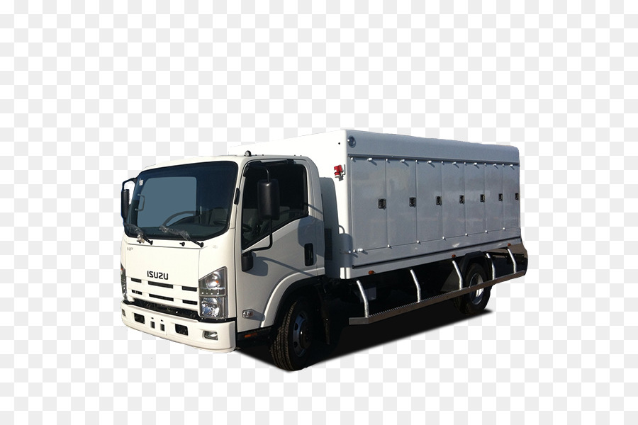 Isuzu Elf，سيارة PNG