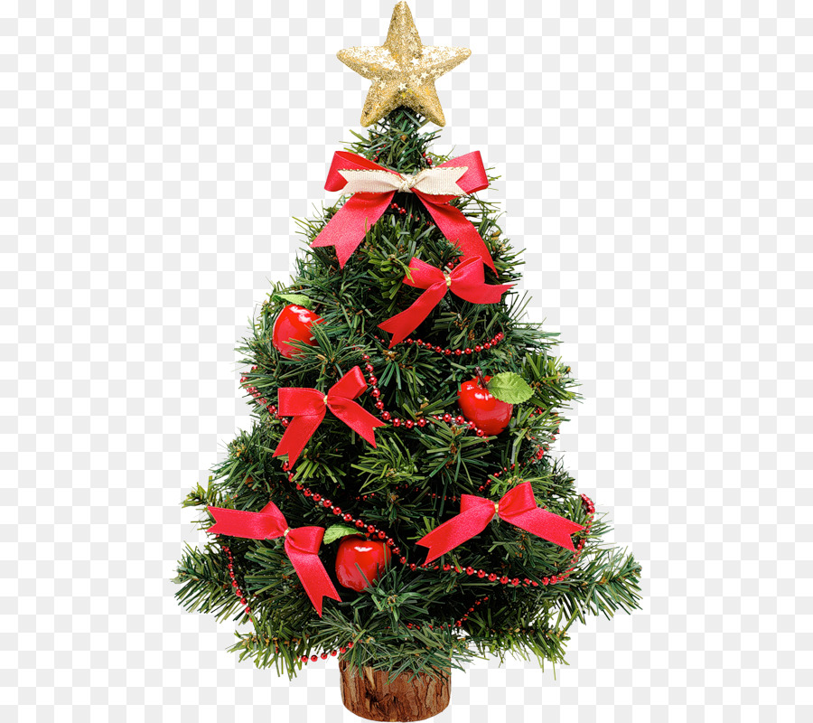 شجرة عيد الميلاد，ارتفع PNG