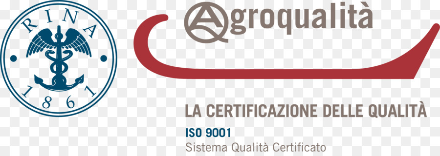 الأعمال，Iso 9000 PNG