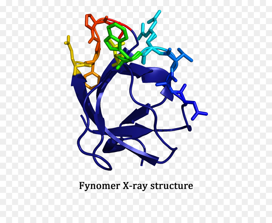 البروتين，Covagen Ag PNG