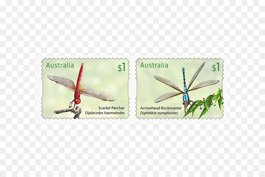 الطوابع البريدية，اليعسوب PNG
