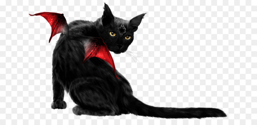 القط بومباي，القط الأسود PNG