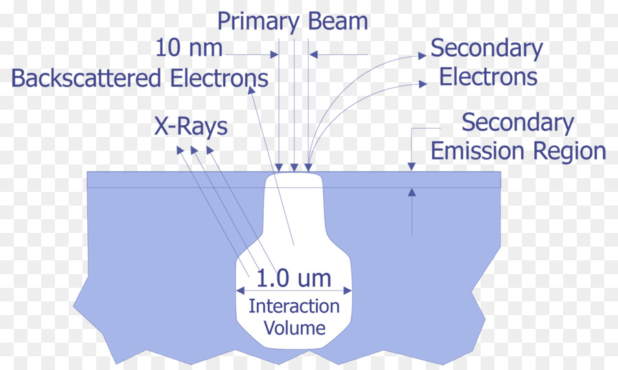المجهر الإلكتروني الماسح，تشتت ارتدادي PNG