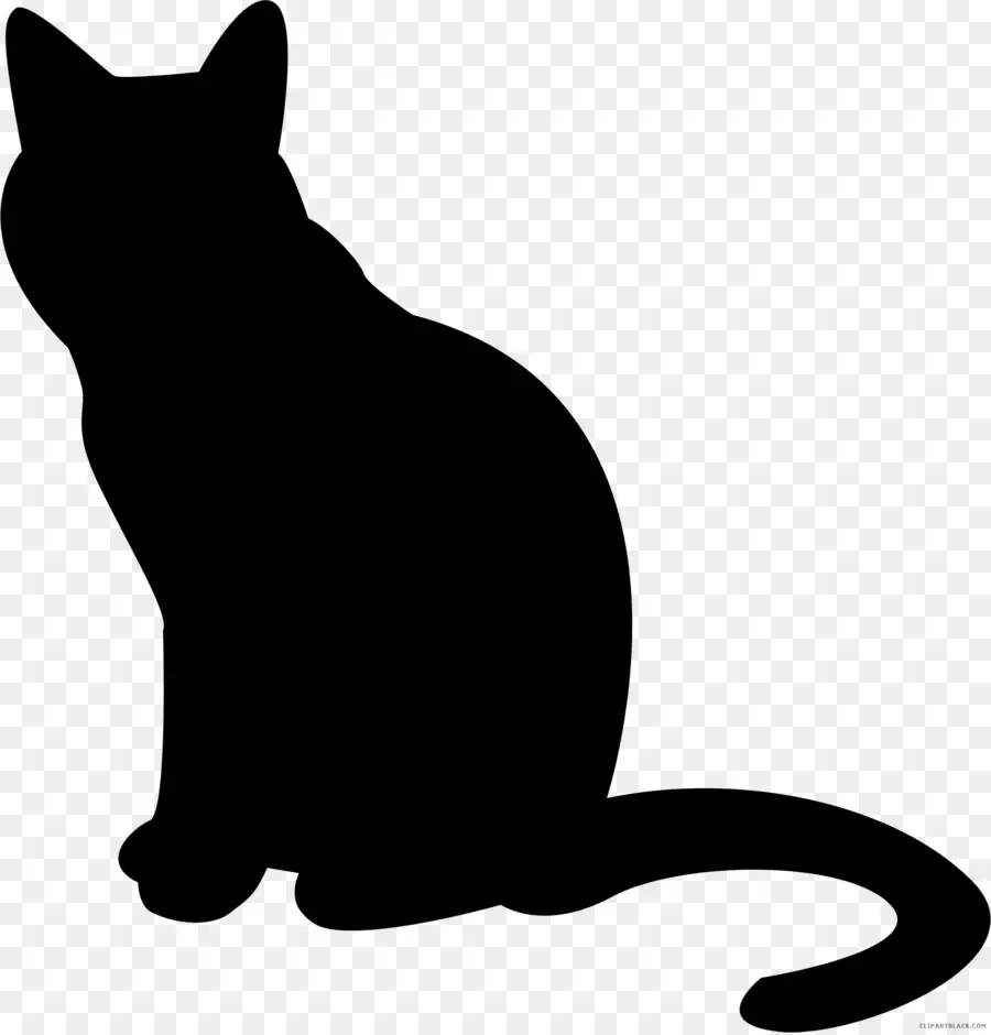القط，القط الأسود PNG