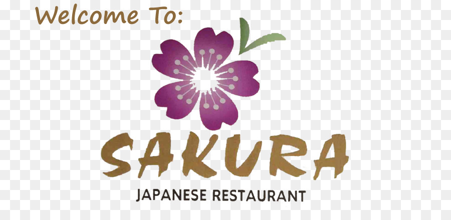 المطبخ الياباني，ساكورا المطعم الياباني PNG
