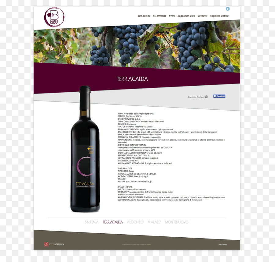 تصميم مواقع الإنترنت استجابة，النبيذ PNG