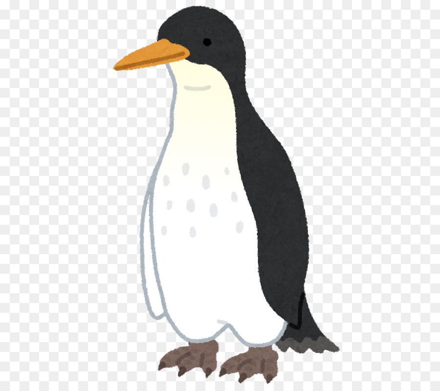 البطريق，القطب الجنوبي PNG