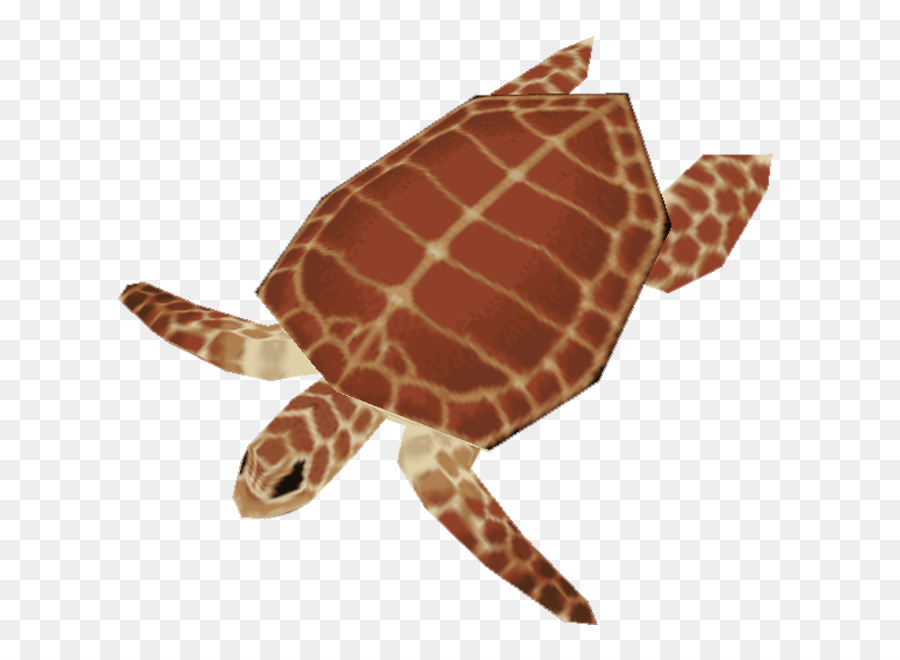 السلاحف البحرية ضخمة الرأس，السلاحف PNG
