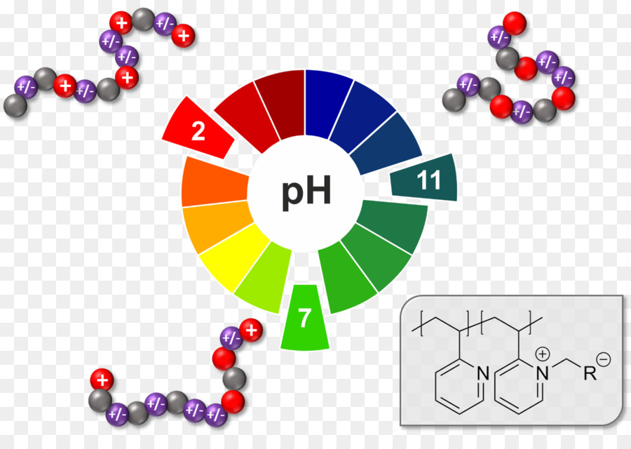 2vinylpyridine，Polyampholytes تخليق وتوصيف التطبيق PNG