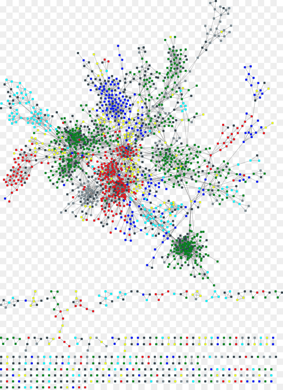 النشوء والتطور الشبكة，Phylogenetics PNG