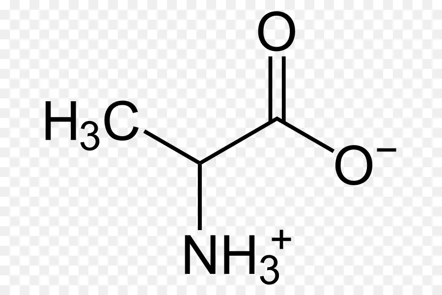 ألانين，Zwitterion PNG