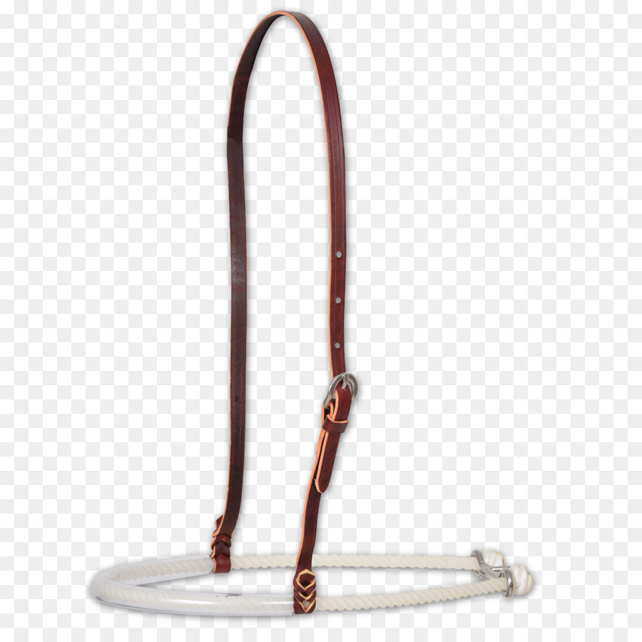 Noseband，الحصان PNG