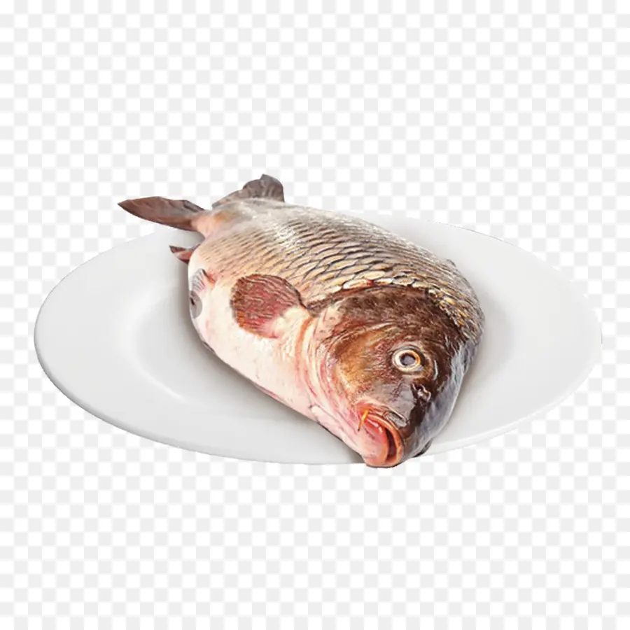 الأسماك，المنتجات السمكية PNG