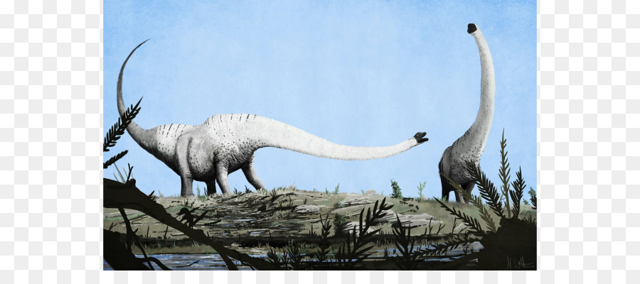 Mamenchisaurus，ديناصور PNG