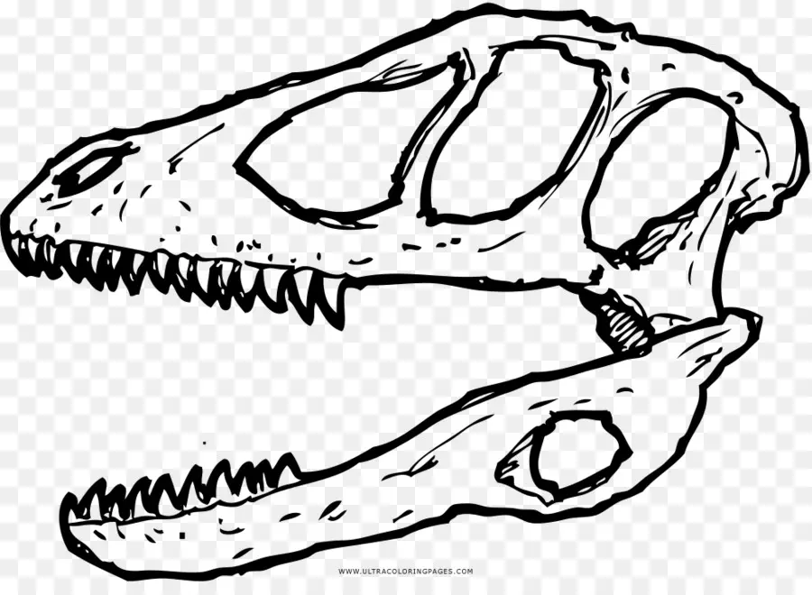 الديناصور，Deinonychus PNG