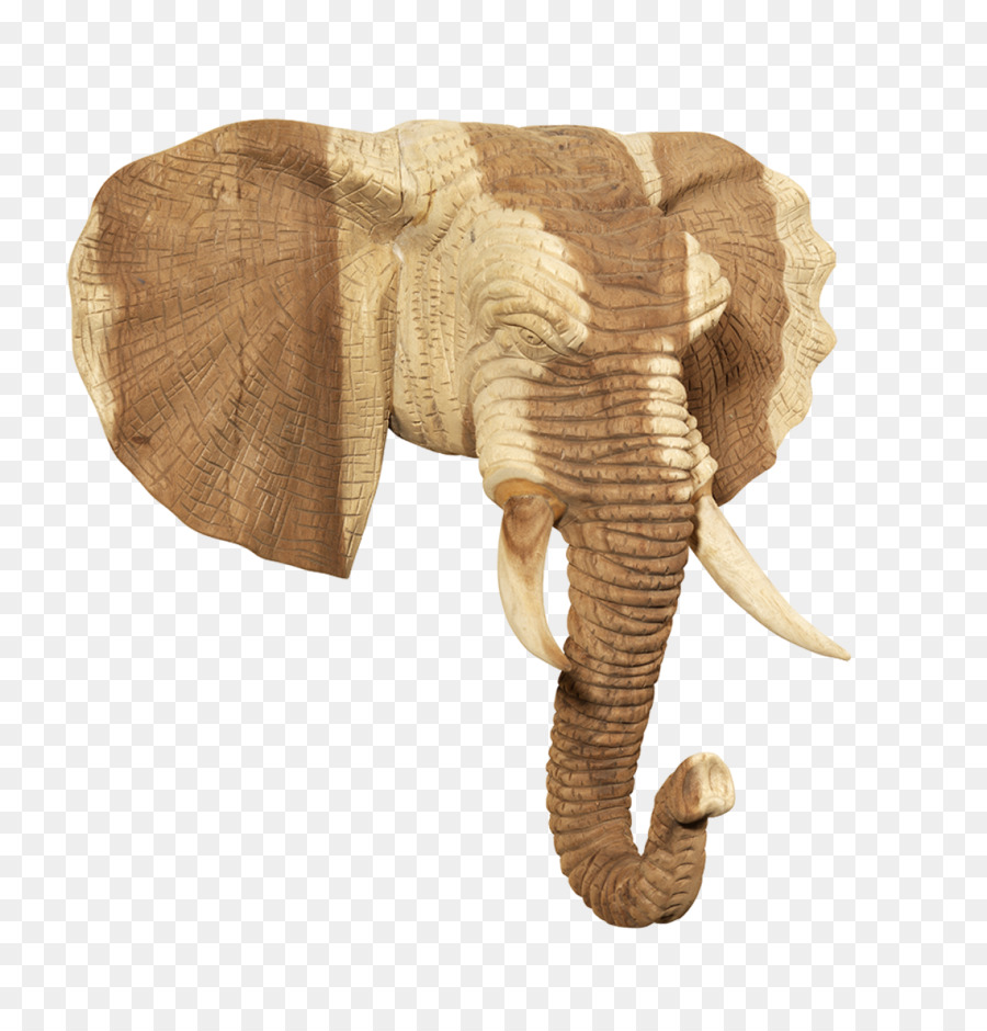 الفيل الأفريقي，الأثاث PNG