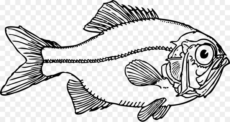 سمكة，فن الخط PNG