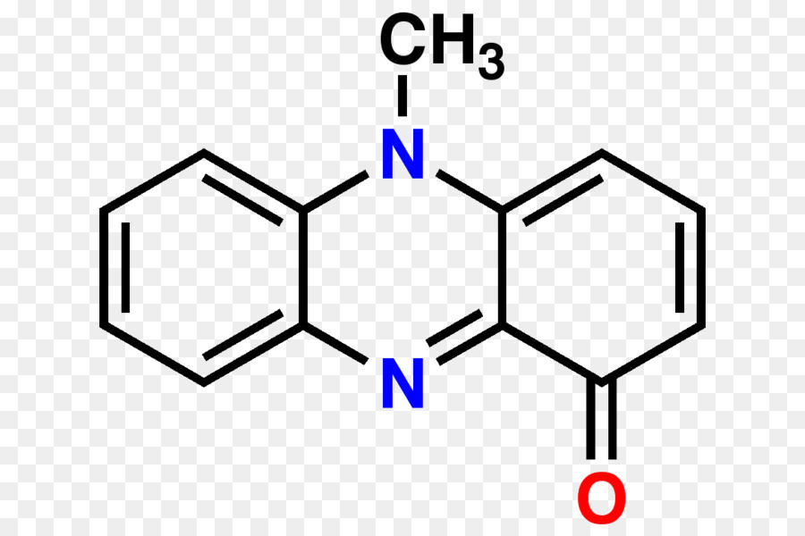 الريبوفلافين，فيتامين PNG