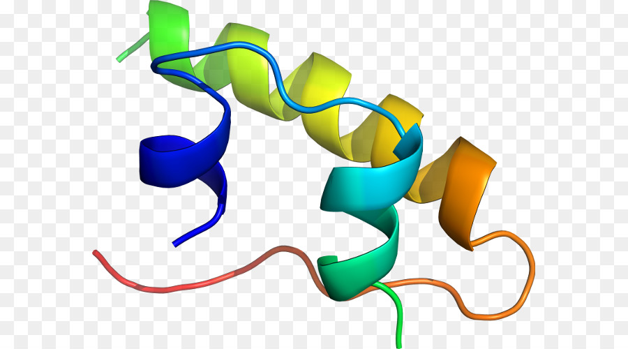 بروتين هيليكس，جزيء PNG
